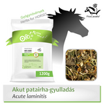 akut, fájdalmas patairha-gyulladás