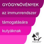 Immunrendszer Immunrendszer