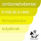 Máj és vese Máj és vese
