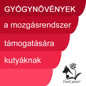 Mozgásrendszer Mozgásrendszer