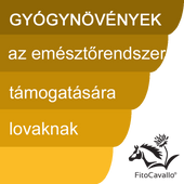 Emésztés Emésztés