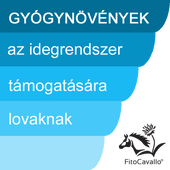 Idegrendszer, viselkedés Idegrendszer, viselkedés