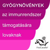 Immunrendszer Immunrendszer