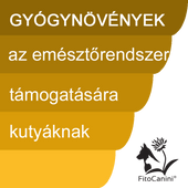 Emésztés Emésztés