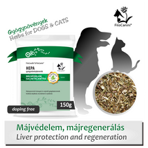 Májterhelés, májfunkció-csökkenés, májbetegségek