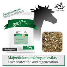 Májterhelés, májfunkció-csökkenés, májbetegségek