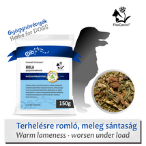 Terhelésre romló ízületi gyulladás, derékfájás, meleg sántaság