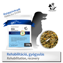 Ortopédiai elváltozások, traumák, mozgásszervi rehabilitáció