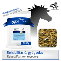 baleseteket és sérüléseket követő rehabilitációs szakasz