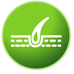 Bőr, szőr, pata, szem