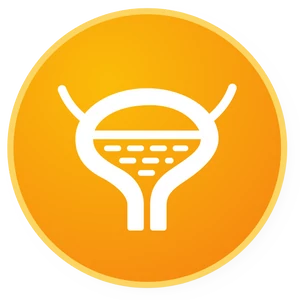 Húgyutak, tenyésztés