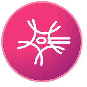 Idegrendszer, viselkedés