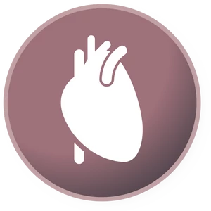 Idős kor, keringés