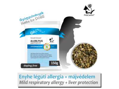 Kezdődő légúti allergia és száraz köhögés ellen gyógynövények