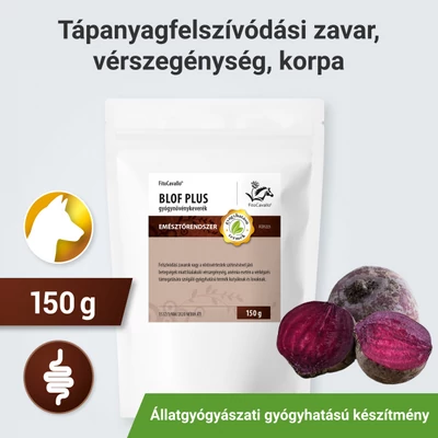Vérszegénység, vashiány és Babeziosis esetén vérképzést segítő gyógynövények Vérszegénység, vashiány és Babeziosis esetén vérképzést segítő gyógynövények