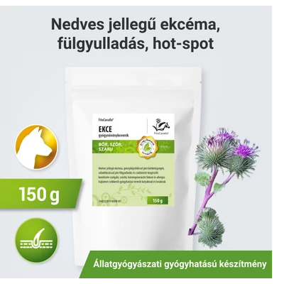 Nedvedző ekcéma, gennyképződéssel járó fül- és bőrbetegségek Nedvedző ekcéma, gennyképződéssel járó fül- és bőrbetegségek