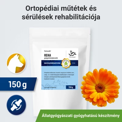 Ortopédiai elváltozások, traumák, mozgásszervi rehabilitáció Ortopédiai elváltozások, traumák, mozgásszervi rehabilitáció