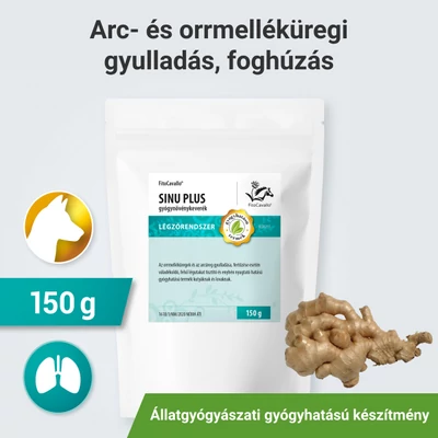 Arc, orr-, homloküreg gyulladás