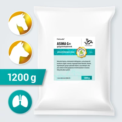 asztma, kevés váladék, hideg időben, leromlott kondíció asztma, kevés váladék, hideg időben, leromlott kondíció