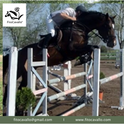 Lawu - Izomgörcs ellen lómasszázs + gyógynövények