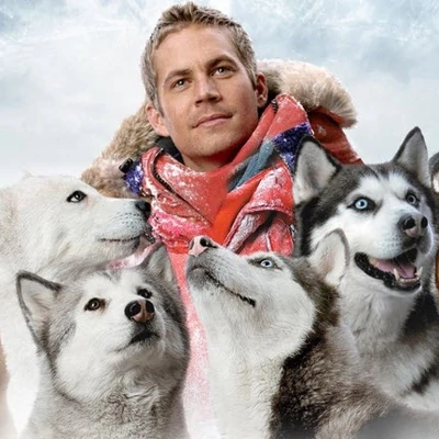 5 kutyás film a téli napokra, amikhez érdemes bekuckózni