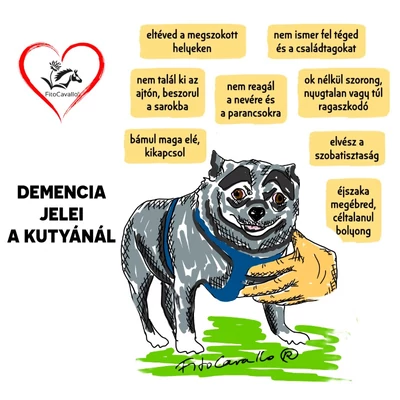 Demencia felismerése és kezelése kutyáknál