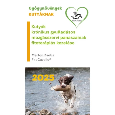 Krónikus mozgásszervi panaszok holisztikus kezelése kutyáknál – gyógynövényes megközelítés