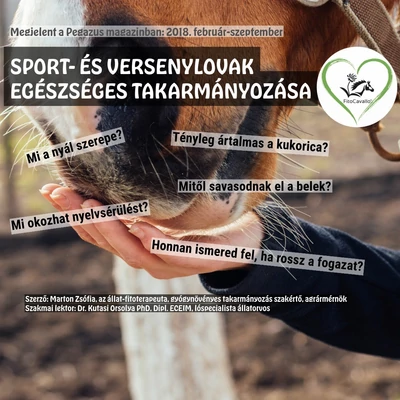 Egészségesen takarmányozol?!