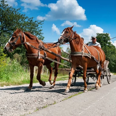 Csontkinövés: tünetek, hajlamosító tényezők
