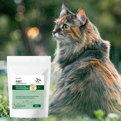 Macskák alsó húgyúti betegségei (FLUTD)