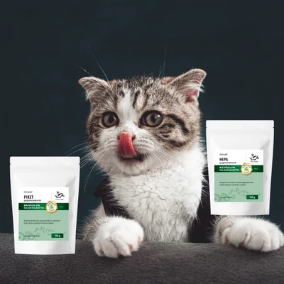 Macskák egészséges táplálásának alapelvei