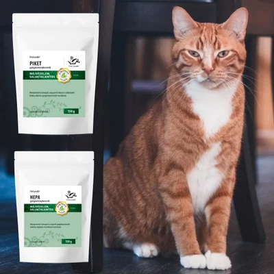 Könnyed mozgás macskáknál: az ízületek, inak, szalagok, csontok és izmok szerepe és védelme