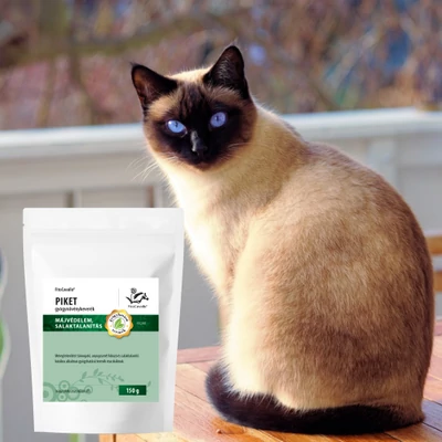 Macskák szőrének ápolása: a matt, zsíros, korpás, elszíneződött és kihulló szőrzet okai