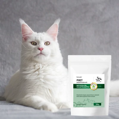 Vitaminok és ásványi anyagok macskáknak: miért fontosak és hogyan biztosíthatjuk őket?