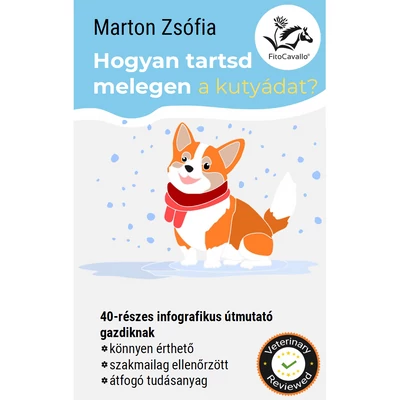 MobileBook: Hogyan tartsd melegen a kutyádat? (letölthető) MobileBook: Hogyan tartsd melegen a kutyádat? (letölthető)