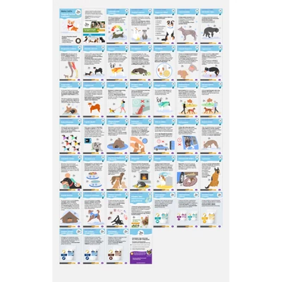 MobileBook: Hogyan tartsd melegen a kutyádat? (letölthető) MobileBook: Hogyan tartsd melegen a kutyádat? (letölthető)