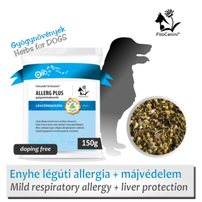 Kezdődő légúti allergia és száraz köhögés ellen gyógynövények