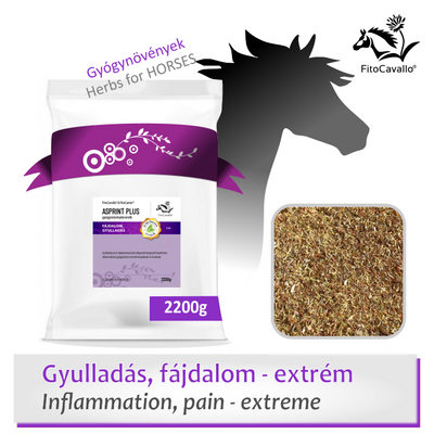 Fűzfakéreg, kamilla, ördögcsáklya, ördögkarom - gyulladás, fájdalom ellen