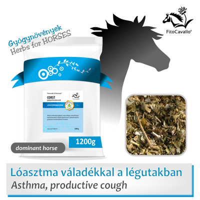 IAD, nyálkatermeléssel járó allergiás köhögés, kehesség 