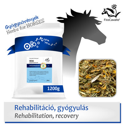 baleseteket és sérüléseket követő rehabilitációs szakasz