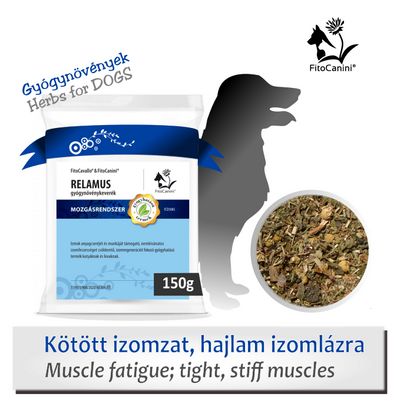 Erőteljes izommunka, izomláz, izomsérülések, -letapadások