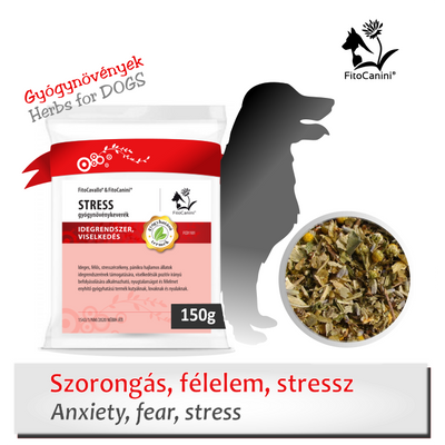 Stressz, ijedősség és félelem