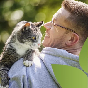 ELÉGEDETT CICÁSOK macskás esetleírások